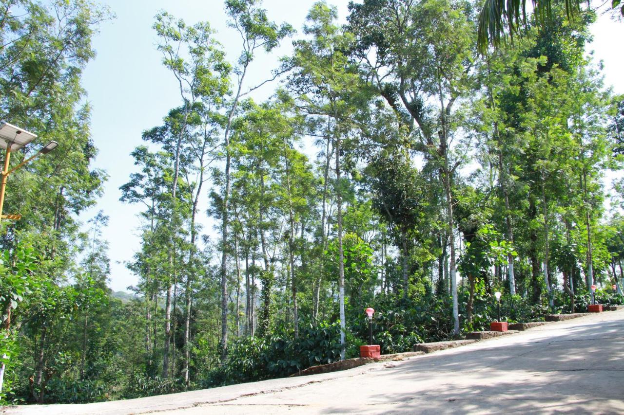 Kingmaker'S Plantation With River Stream 마디케리 외부 사진