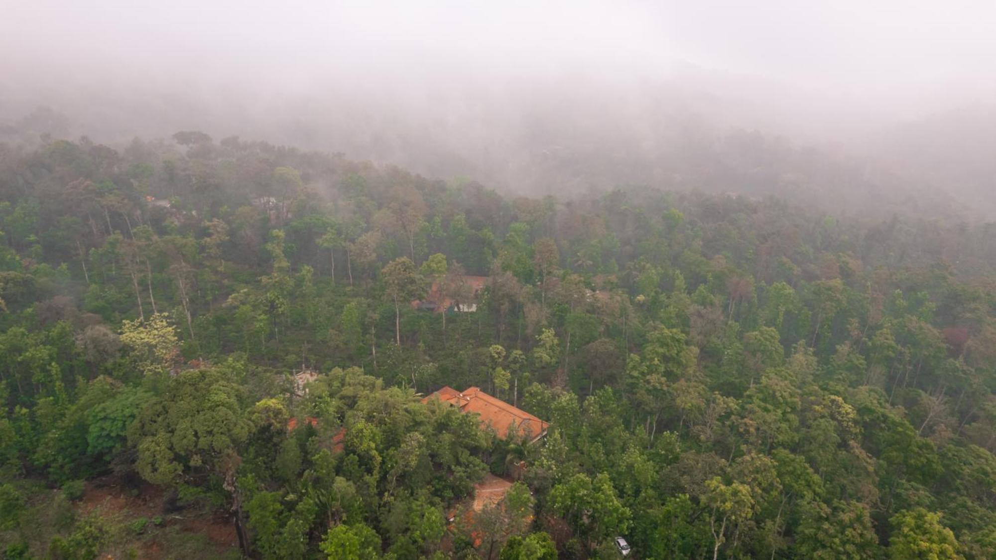 Kingmaker'S Plantation With River Stream 마디케리 외부 사진