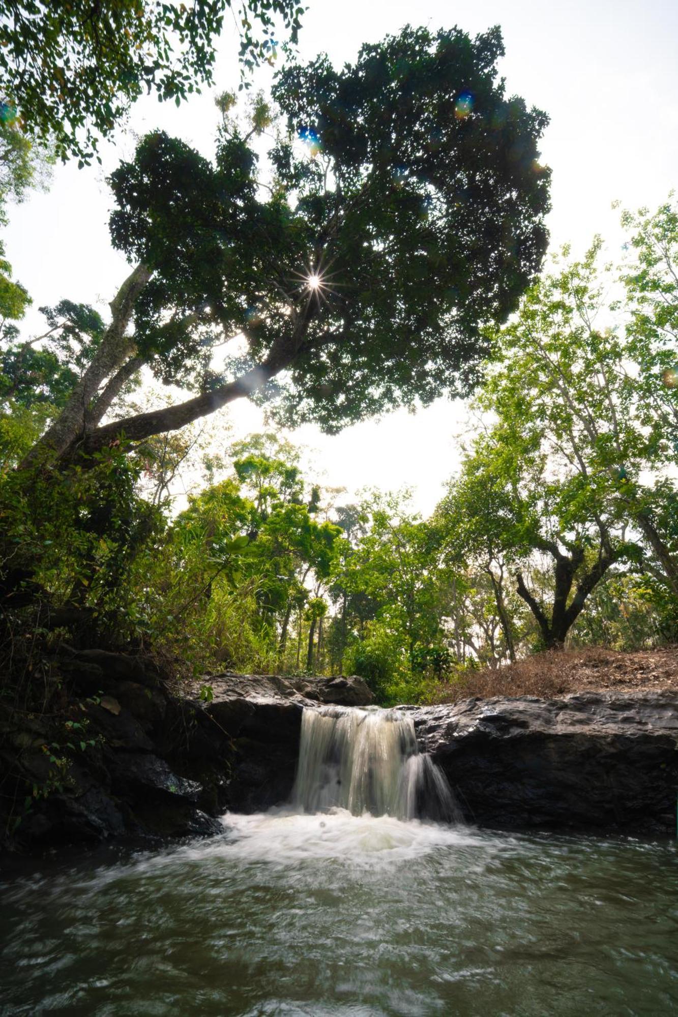 Kingmaker'S Plantation With River Stream 마디케리 외부 사진