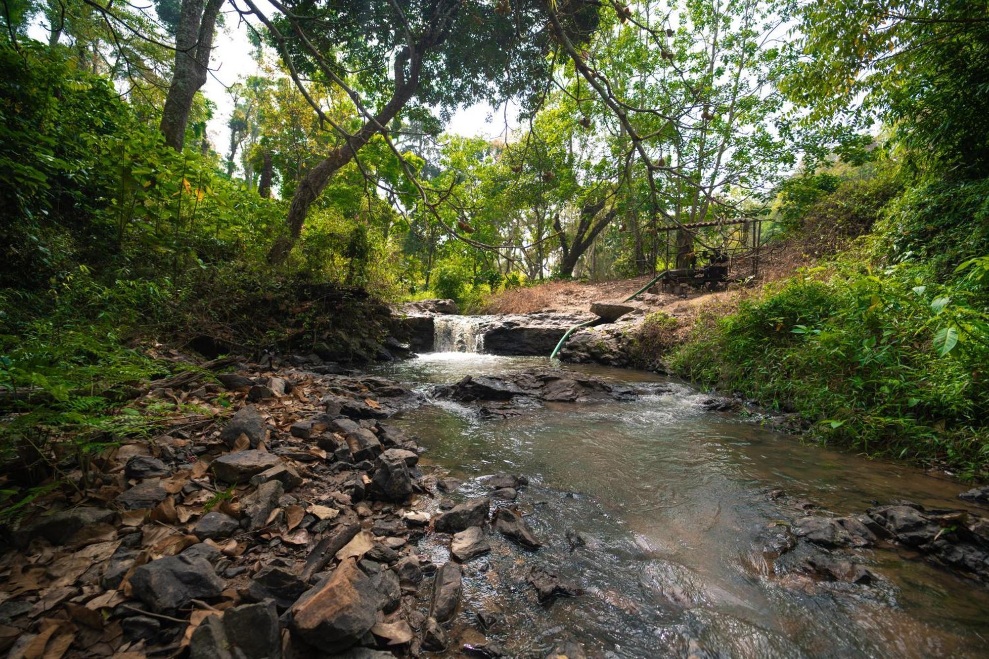 마디케리 Kingmaker'S Plantation With River Stream 빌라 외부 사진